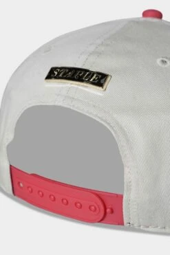 Staple Sonic Snapback Red -Urban Wear Online Shop DSC07174